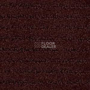 Ковролин Radici Painstripe Moka 2713 фото 1 | FLOORDEALER